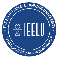 The Egyptian E-Learning University